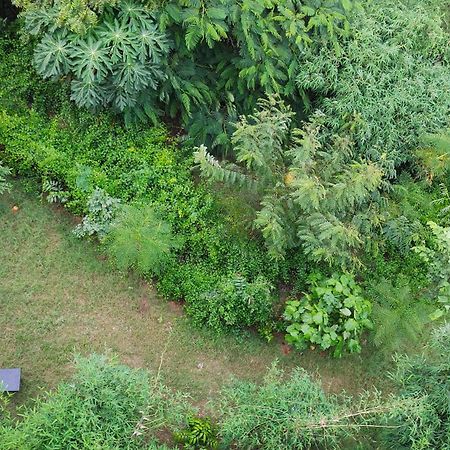 Osho Villa Guest House Dzsaipur Kültér fotó