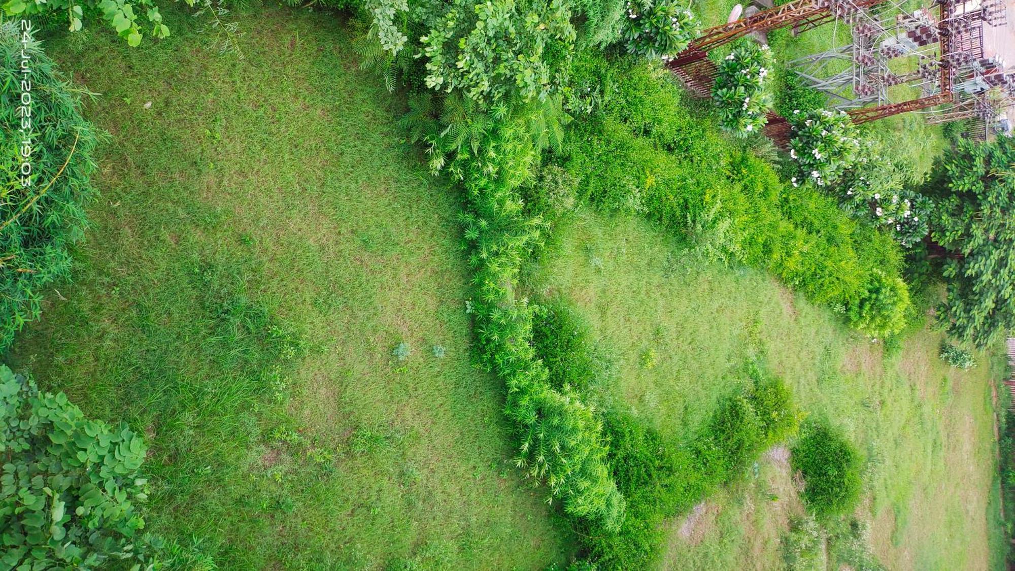 Osho Villa Guest House Dzsaipur Kültér fotó