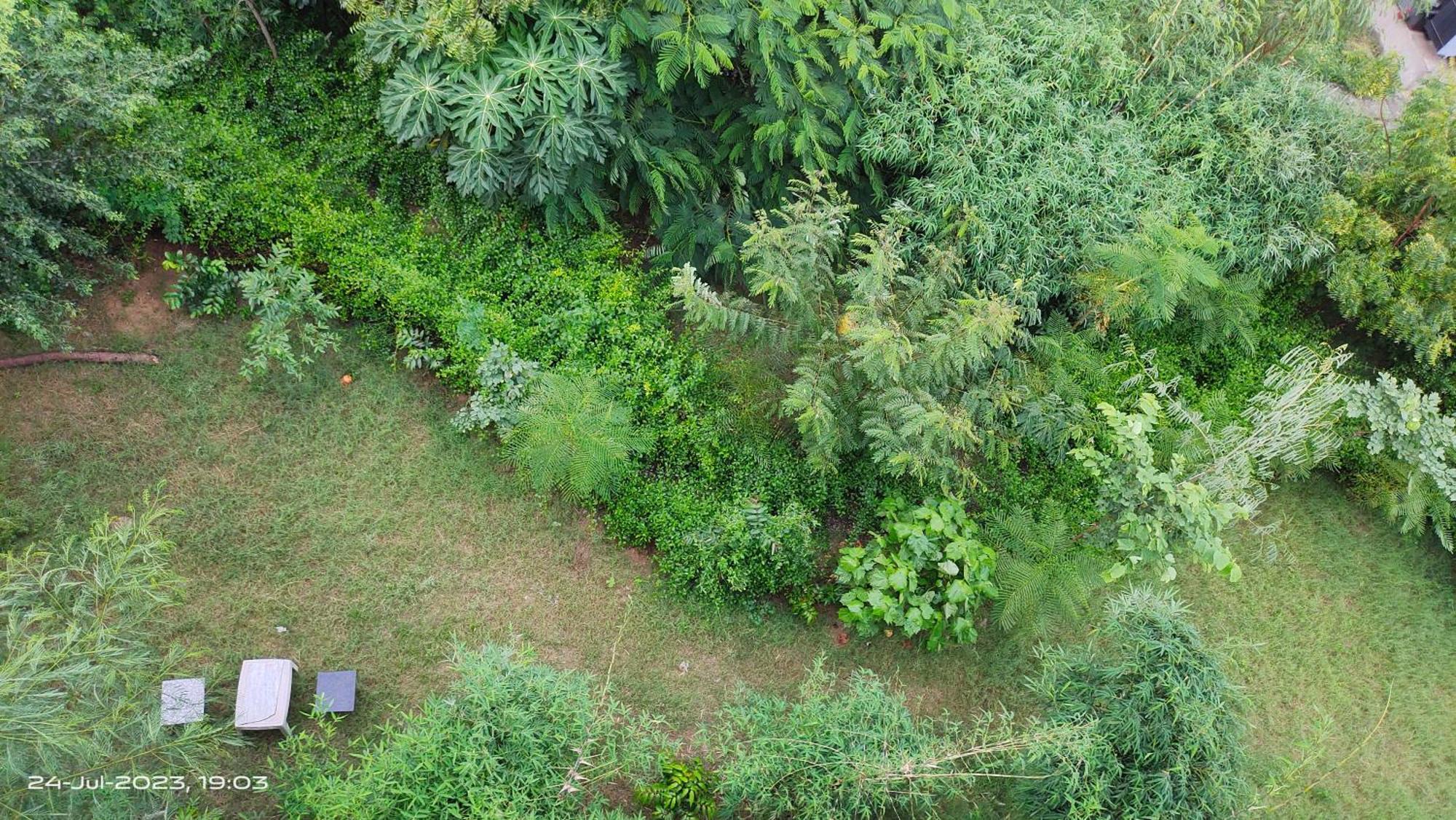 Osho Villa Guest House Dzsaipur Kültér fotó